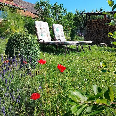 Appartamento Loft Eifel Idylle Nettersheim Esterno foto