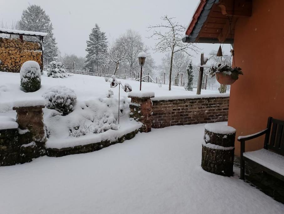 Appartamento Loft Eifel Idylle Nettersheim Esterno foto