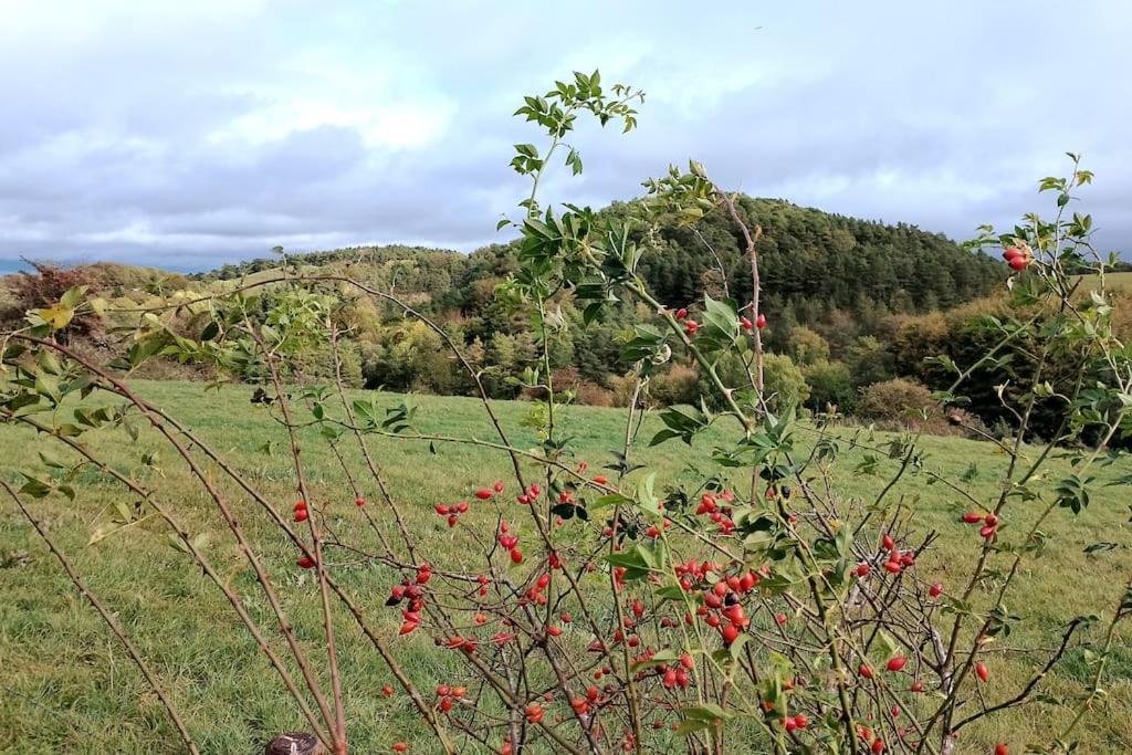 Appartamento Loft Eifel Idylle Nettersheim Esterno foto