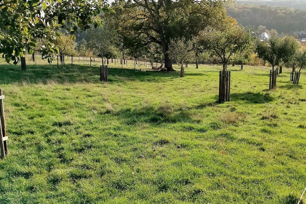 Appartamento Loft Eifel Idylle Nettersheim Esterno foto