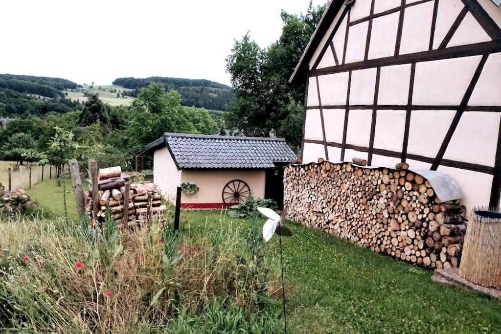Appartamento Loft Eifel Idylle Nettersheim Esterno foto