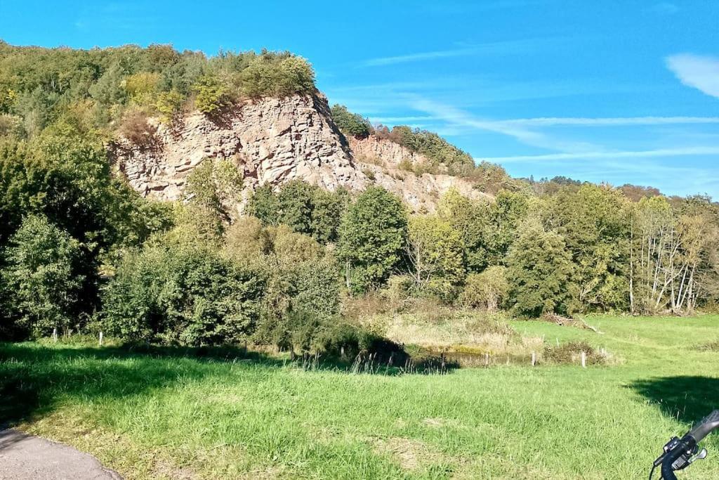 Appartamento Loft Eifel Idylle Nettersheim Esterno foto