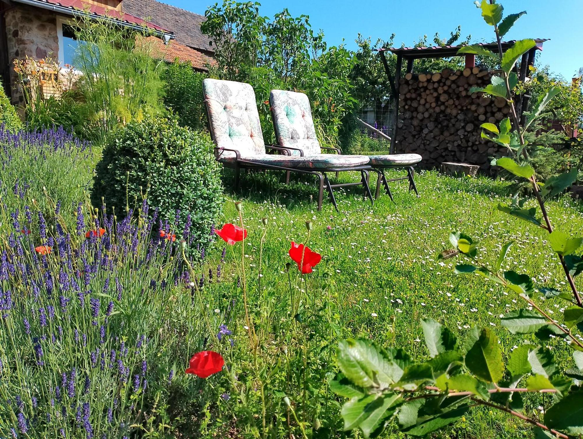 Appartamento Loft Eifel Idylle Nettersheim Esterno foto